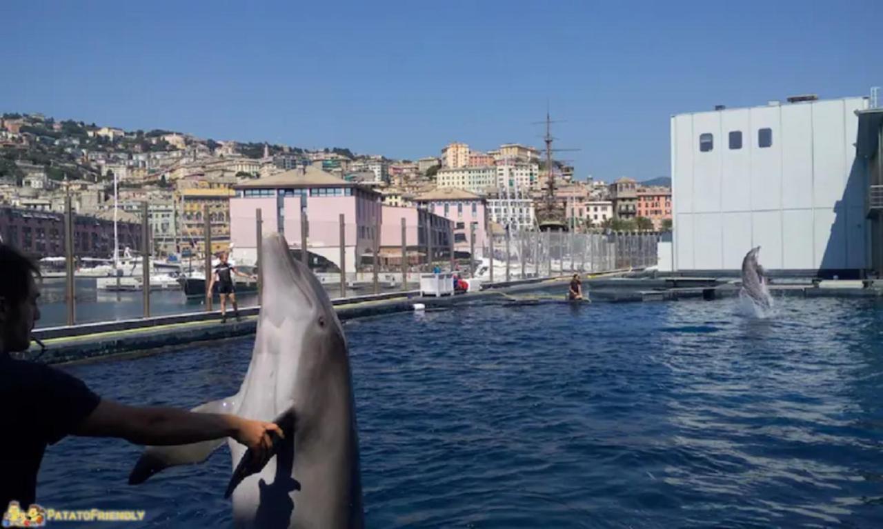Apt Aquarium Lejlighed Genova Eksteriør billede